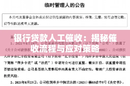 银行贷款人工催收：揭秘催收流程与应对策略