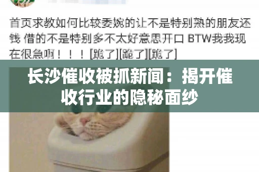 长沙催收被抓新闻：揭开催收行业的隐秘面纱