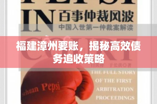 福建漳州要账，揭秘高效债务追收策略