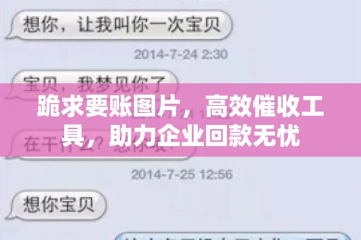 跪求要账图片，高效催收工具，助力企业回款无忧