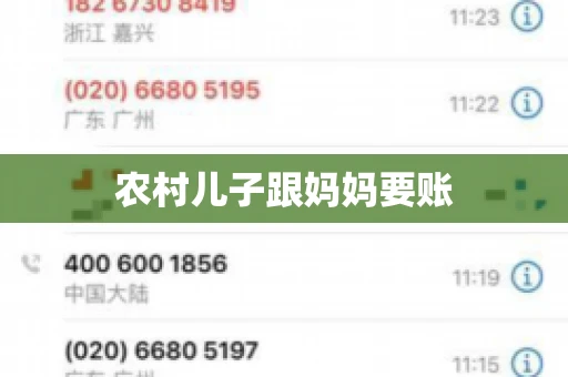 农村儿子跟妈妈要账
