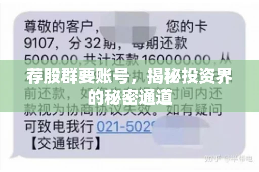 荐股群要账号，揭秘投资界的秘密通道
