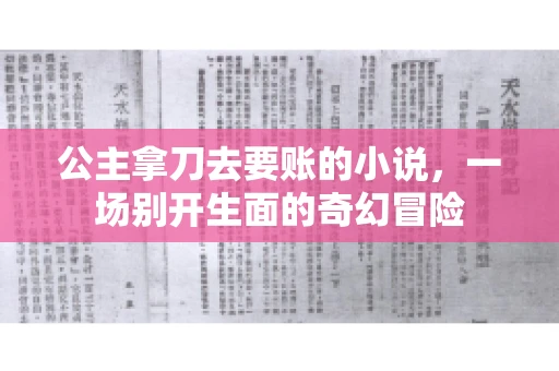 公主拿刀去要账的小说，一场别开生面的奇幻冒险