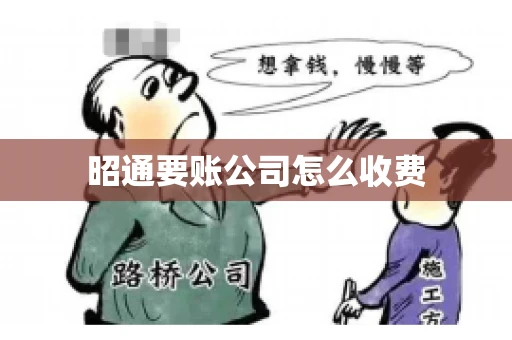 昭通要账公司怎么收费