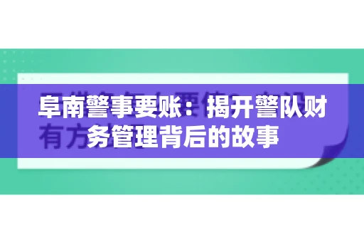 阜南警事要账：揭开警队财务管理背后的故事