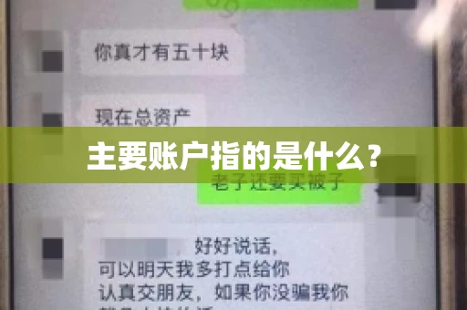 主要账户指的是什么？