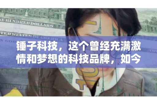 锤子科技，这个曾经充满激情和梦想的科技品牌，如今却陷入了要账的困境。今天，我们就来聊聊锤子科技要账的那些事儿。