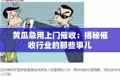 黄瓜急用上门催收：揭秘催收行业的那些事儿